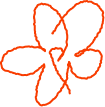 decorative flower